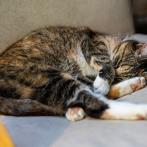 DSC_0038 Kopie.jpg