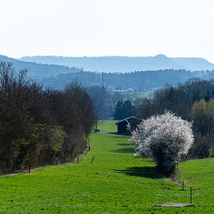 DSC_5691.jpg