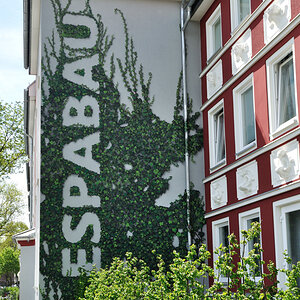 150511-004.jpg
