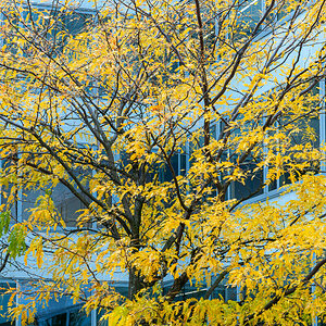 2025-10-25_Tulln_Herbstspaziergang_0002.jpg