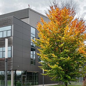 2025-10-25_Tulln_Herbstspaziergang_0004.jpg