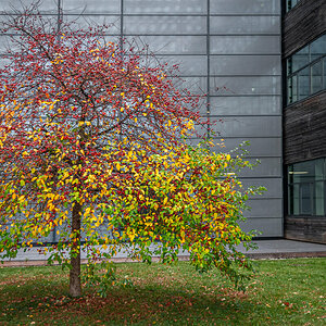 2025-10-25_Tulln_Herbstspaziergang_0005.jpg