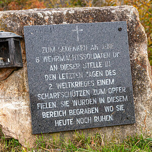 2025-10-25_Tulln_Herbstspaziergang_0015.jpg