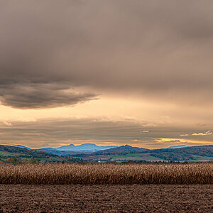 2025-10-25_Tulln_Herbstspaziergang_0021.jpg