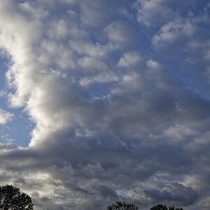 _Z508590_DxOPxl.jpg
