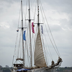 laboe_minerva_1.jpg