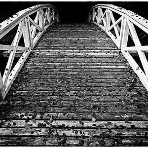 Herbstbrücke 2_BW 1.jpg