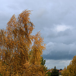 OF2_75972.jpg