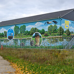 OFZ_02603.jpg
