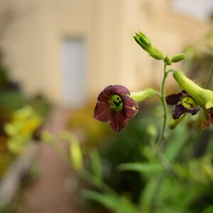 DSC_3377_00001n.jpg