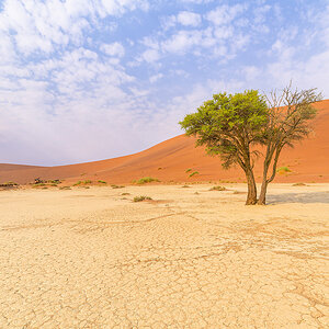 2025-09-19 080 At Sossusvlei.jpg