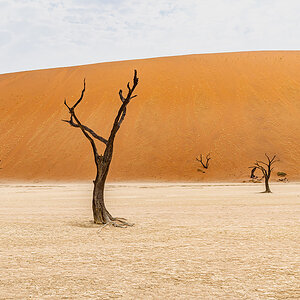 2025-09-19 092 At Sossusvlei.jpg