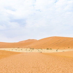 2025-09-19 071 At Sossusvlei.jpg