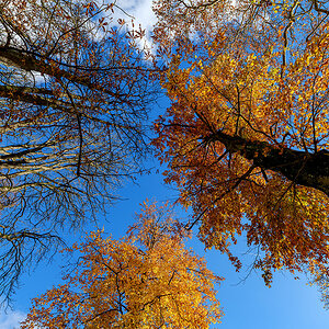 Herbst.jpg