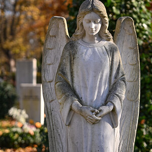 DSC_2940.jpg