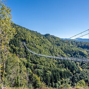 20251002-NZ7_4640.jpg