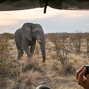 2025-09-24 088 Elephant and Truck.jpg