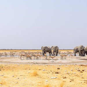 2025-09-25 074 Etosha Waterhole.jpg