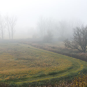 OF2_76397.jpg