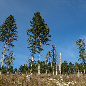 Montfaucon_DSF3323_12.jpg
