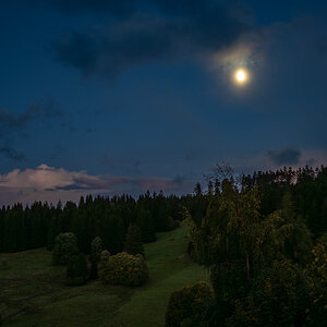 20251004-NZ7_4755.jpg