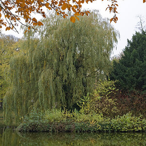 _Z508790_DxOxl.jpg