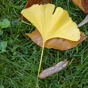 _Z508829_DxOQAxl.jpg