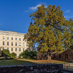 OF2_76070.jpg