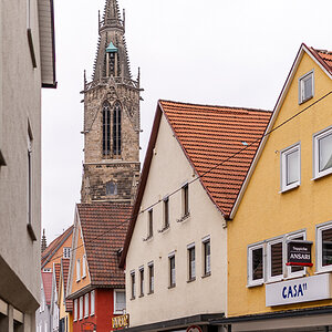 DSC_5543_k.jpg