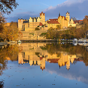 OFZ_02799.jpg