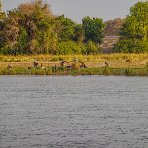 2025-09-28 046 At Okavango River.jpg