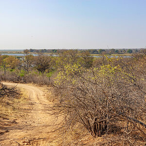 2025-09-29 039 Okavango River.jpg