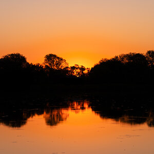 2025-09-30 067 Sunset in the Okavango Delta.jpg