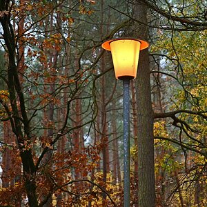 Herbstlaterne.jpg