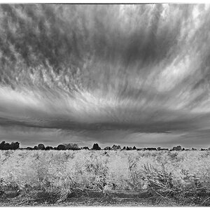 Herbstgewölk 3_BW.jpg