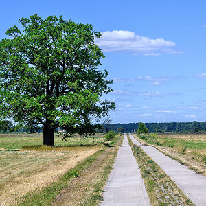OFZ_01567.jpg