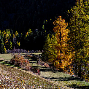Herbst.jpg