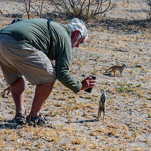 2025-10-04 040 Lothar Photographing Meercat.jpg