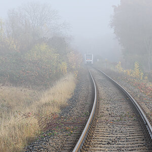 OF2_76411.jpg
