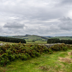 pw_20250904_3322.jpg