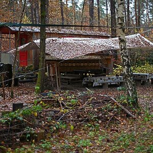 Waldkindergarten.jpg