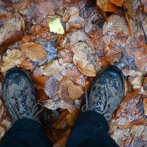 Goretex.jpg