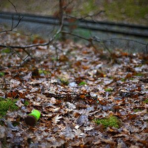 Grabkerze im Wald.jpg