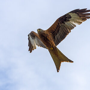 OF2_02060.jpg