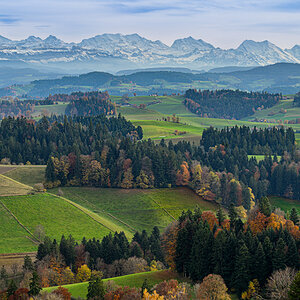 _DZ89301 (1).jpg