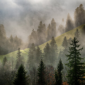 Forum_DZ89143_01-HDR (1).jpg
