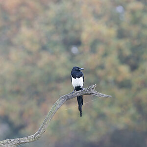 04 400mm f-8.jpg