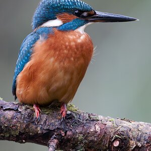 15 400mm f-5.6.jpg