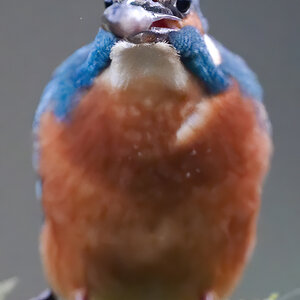 24 400mm f-2.8.jpg