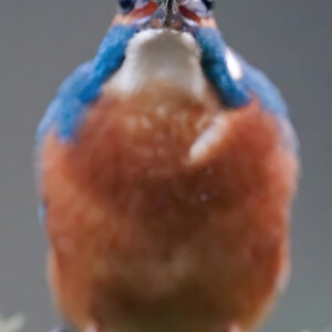 25 400mm f-2.8.jpg